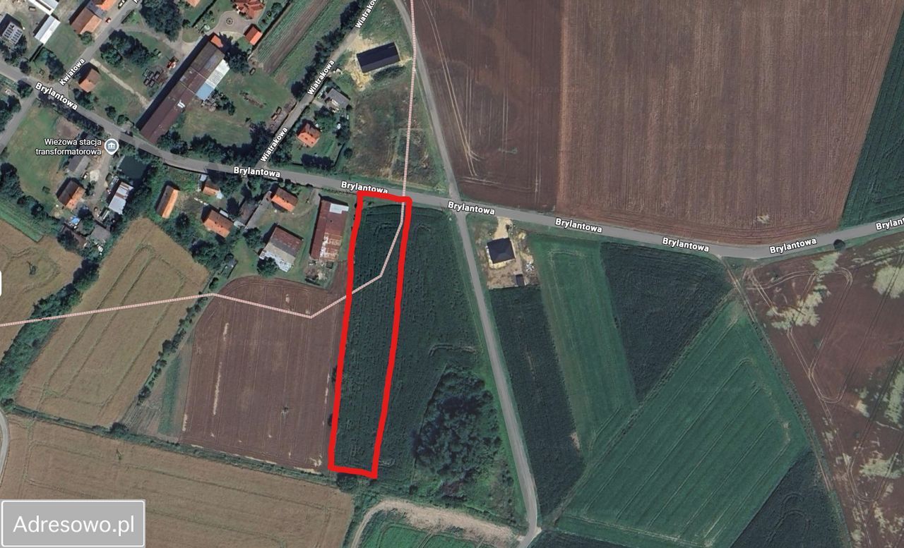 Działka rolno-budowlana Rolantowice. Zdjęcie 5