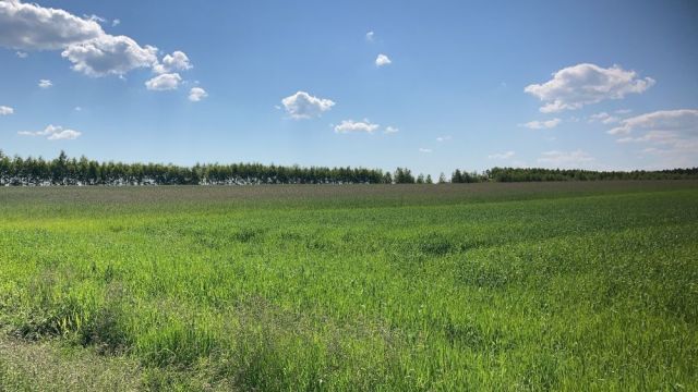 Działka rolno-budowlana Łask, ul. Jana Kilińskiego. Zdjęcie 5