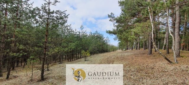 Działka budowlana Czersk, ul. Tucholska. Zdjęcie 7