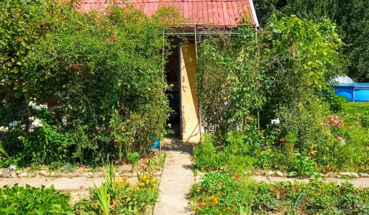 Działka rod Nysa, ul. Adama Mickiewicza