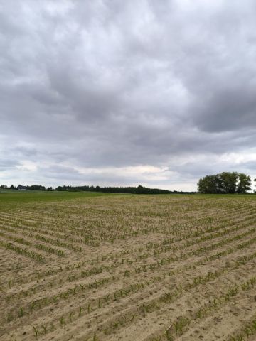 Działka budowlana Łabędź. Zdjęcie 1