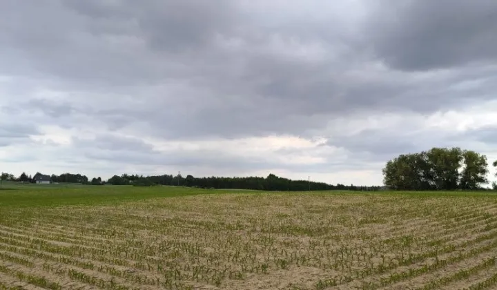 Działka budowlana Łabędź