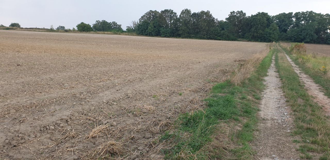 Działka rolna Międzybórz, ul. Kolejowa. Zdjęcie 2