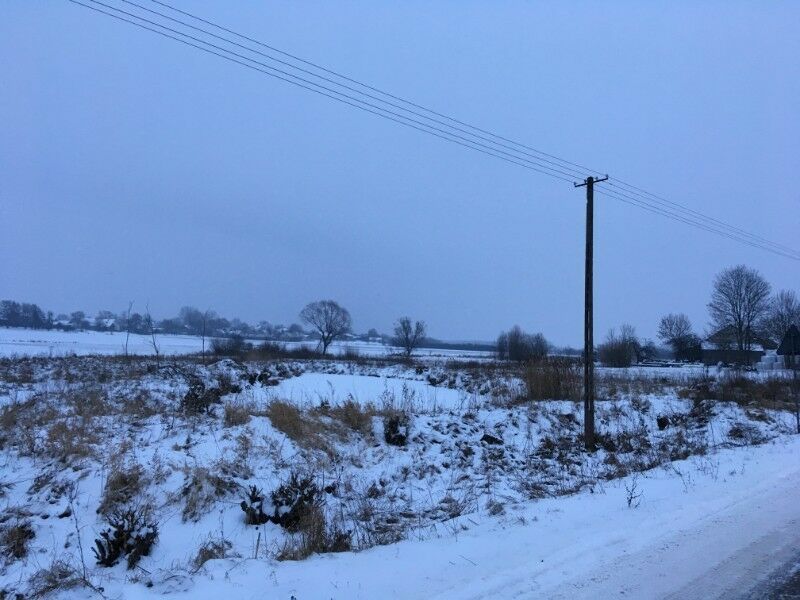 Działka rolna Kosiorki. Zdjęcie 3