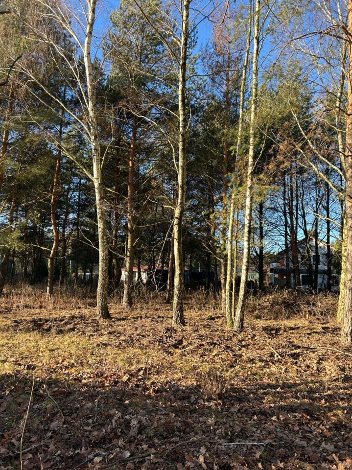 Działka rolno-budowlana Mieszkowo. Zdjęcie 8