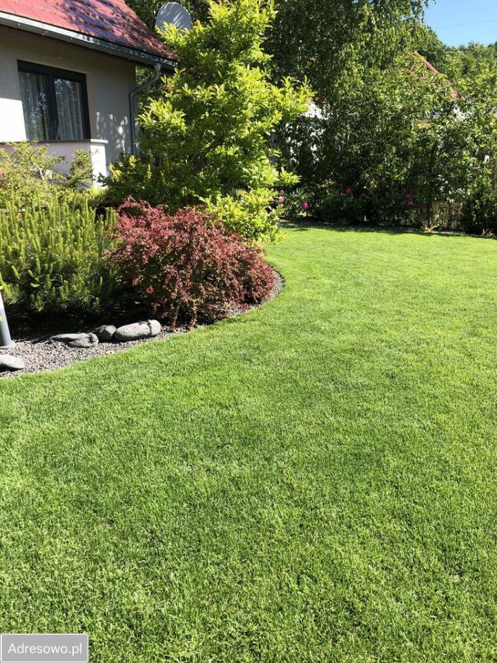 dom wolnostojący, 4 pokoje Mysłowice, ul. Graniczna. Zdjęcie 8