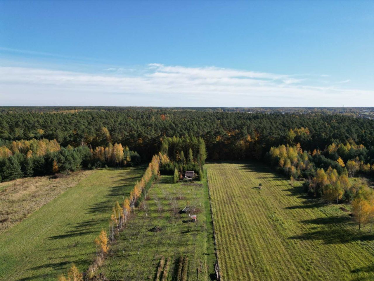 Działka budowlana Sucha. Zdjęcie 1