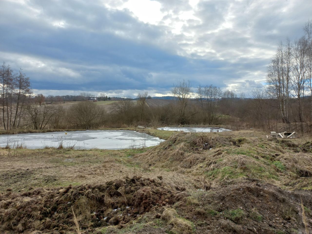 Działka rolna Brzezinka, Słoneczna. Zdjęcie 6