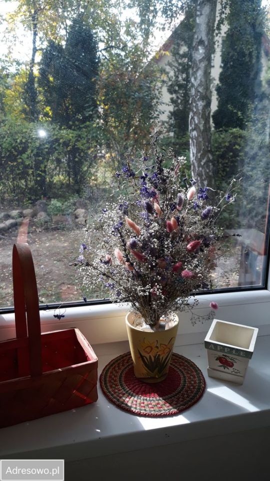 dom letniskowy Zawady, ul. Jerzyka. Zdjęcie 6