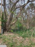 Działka budowlana Włocławek Zawiśle , ul. Jeżynowa. Zdjęcie 1