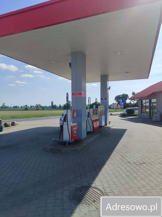 Działka inwestycyjna Służewo. Zdjęcie 8