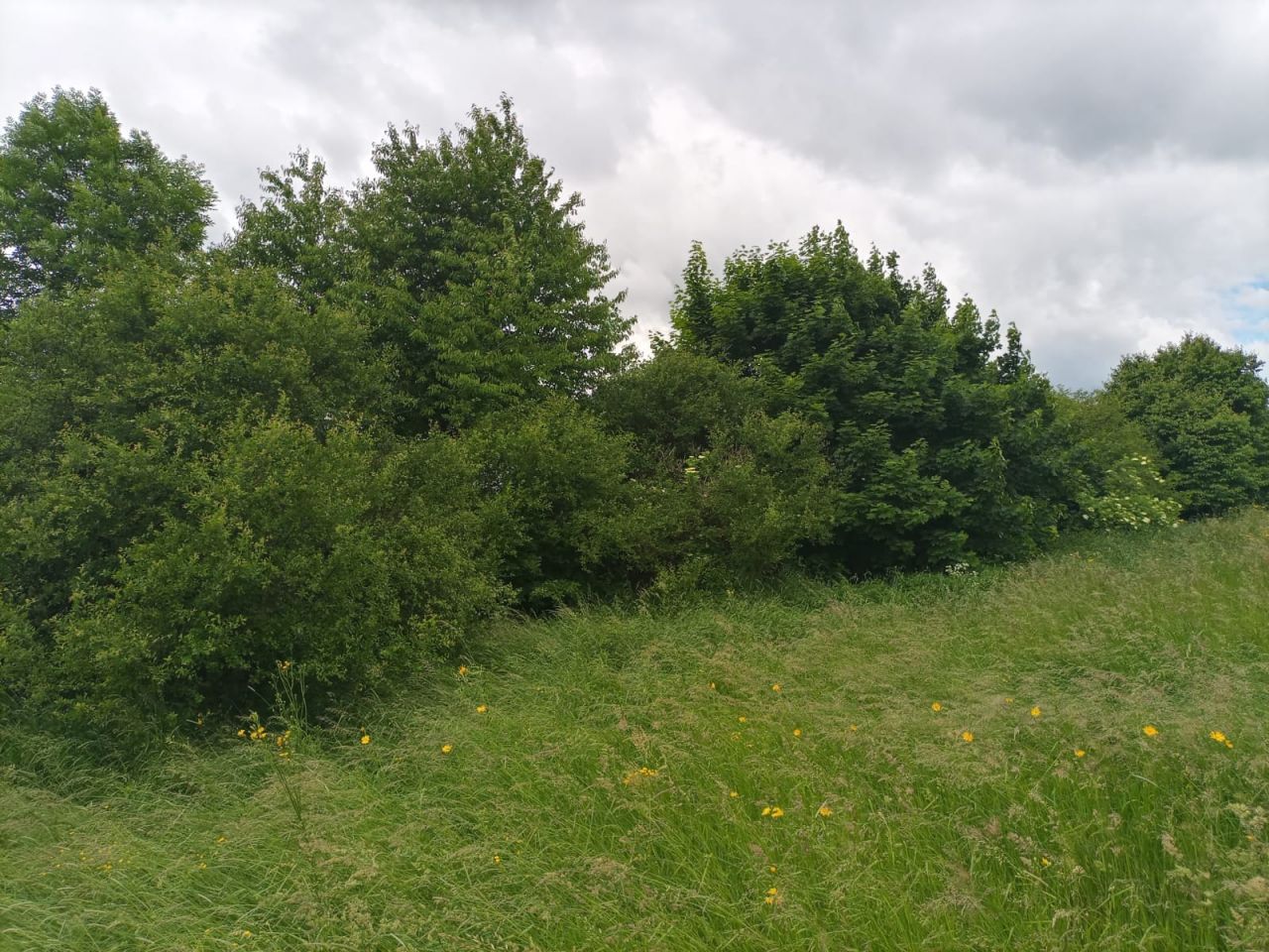 Działka budowlana Równe, ul. Pocztowa. Zdjęcie 10