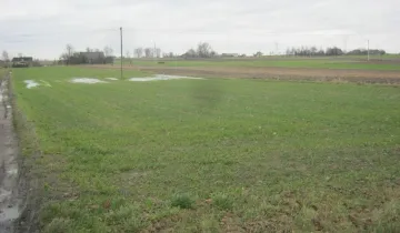 Działka na sprzedaż bez pośredników          
          
            ul. Targowa          
          
            Czernikowo - Widok 6