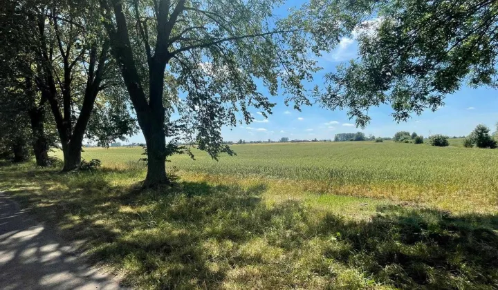 Działka rolna Tydówka