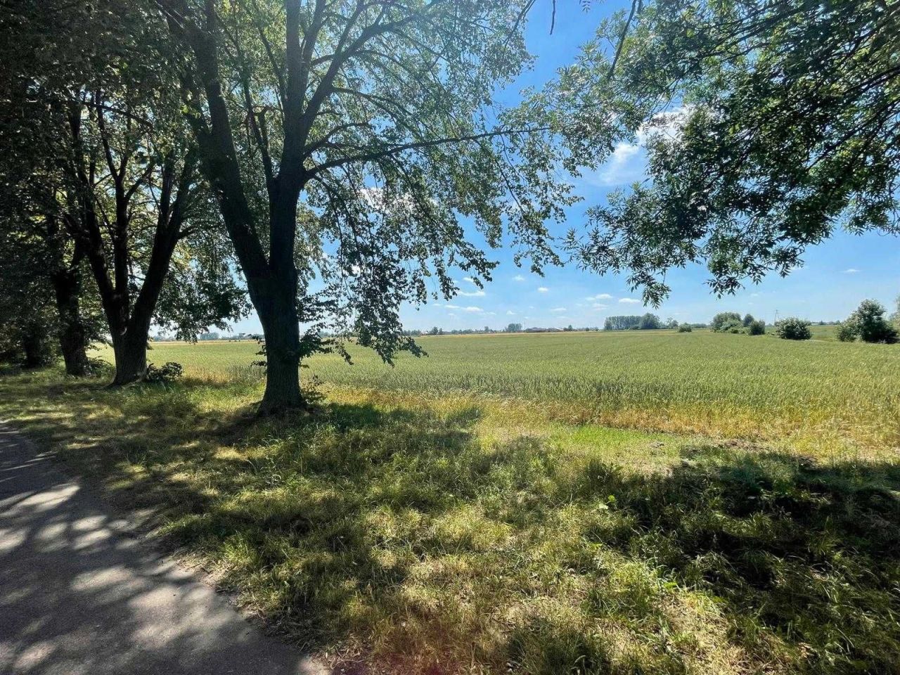 Działka rolna Tydówka