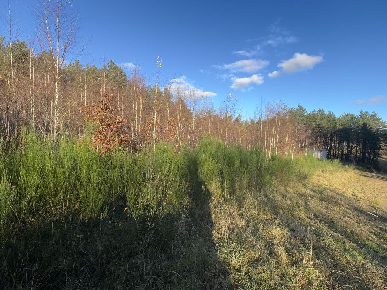 Działka budowlana Dębnica Kaszubska, os. Nad Skotawą. Zdjęcie 7