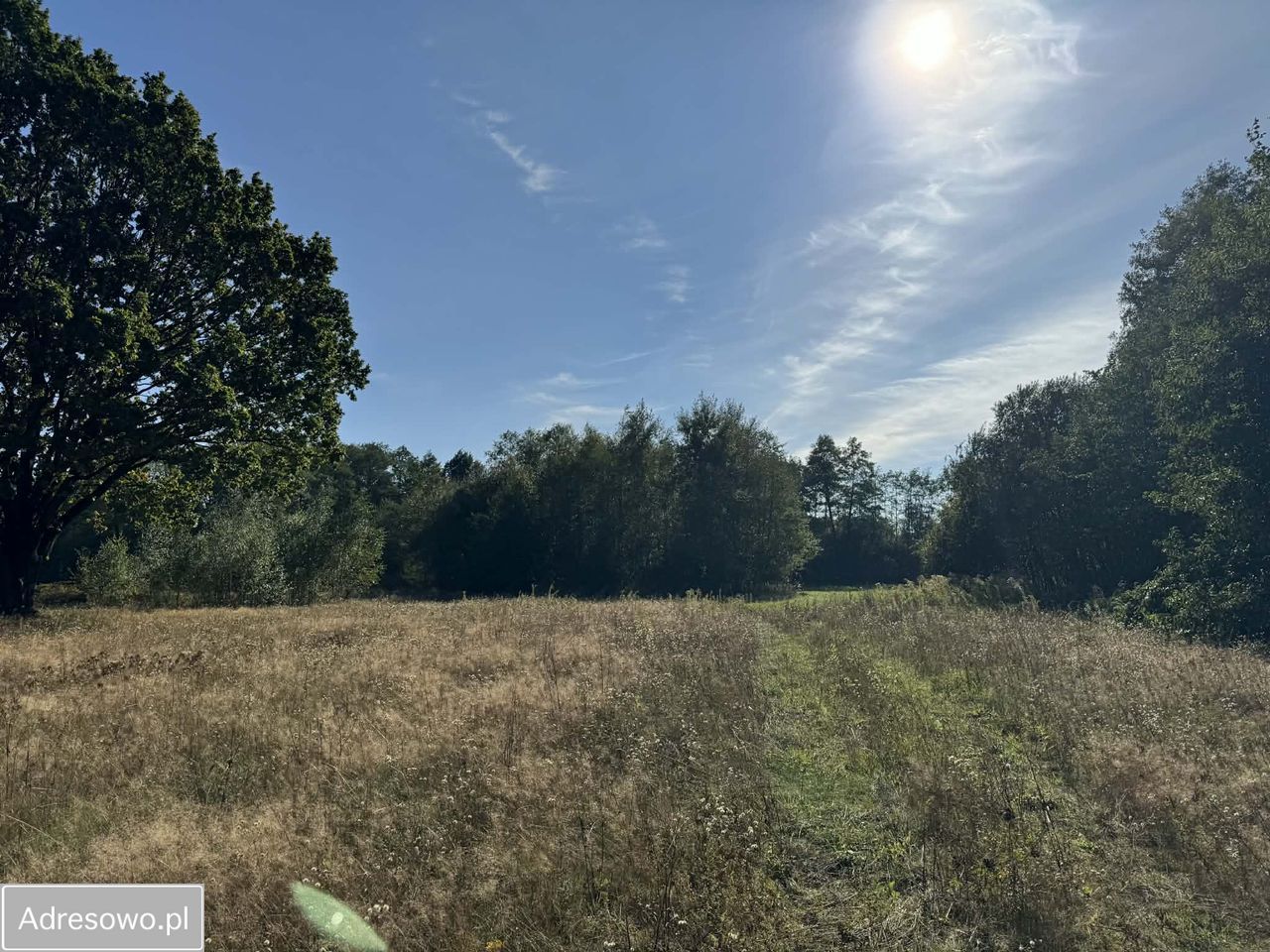 Działka rolno-budowlana Aleksandria. Zdjęcie 11