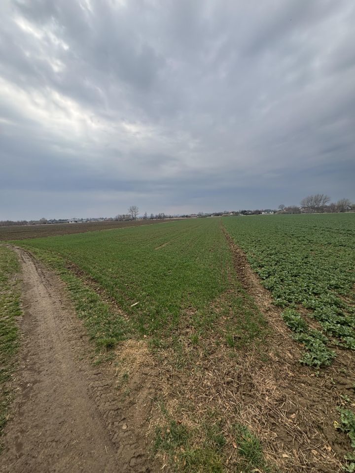 Działka rolna Koniaczów. Zdjęcie 5