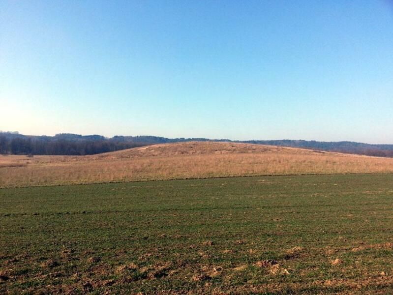 Działka rolna Żydowo. Zdjęcie 7