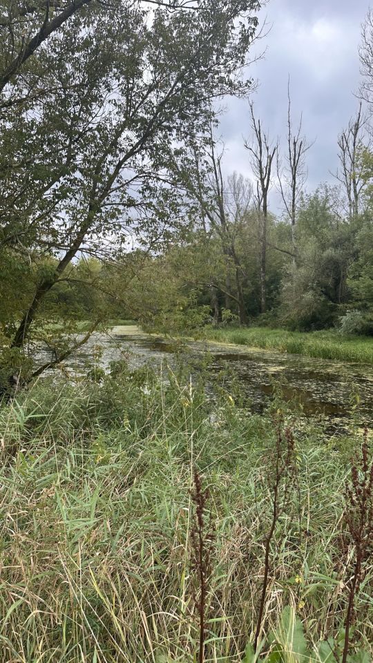 Działka rolna Tarnów. Zdjęcie 2