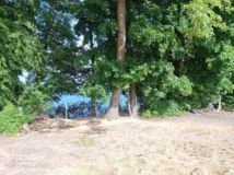 Działka rolno-budowlana Tchórzno. Zdjęcie 3