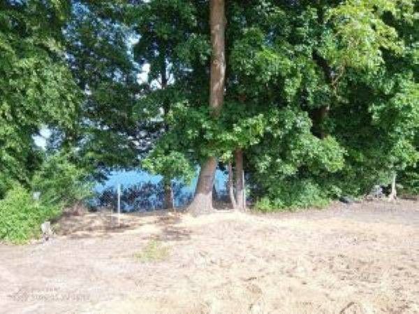 Działka rolno-budowlana Tchórzno. Zdjęcie 4