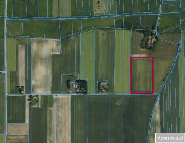 Działka rolna Typin. Zdjęcie 1