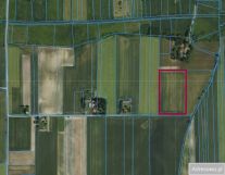 Działka rolna Typin