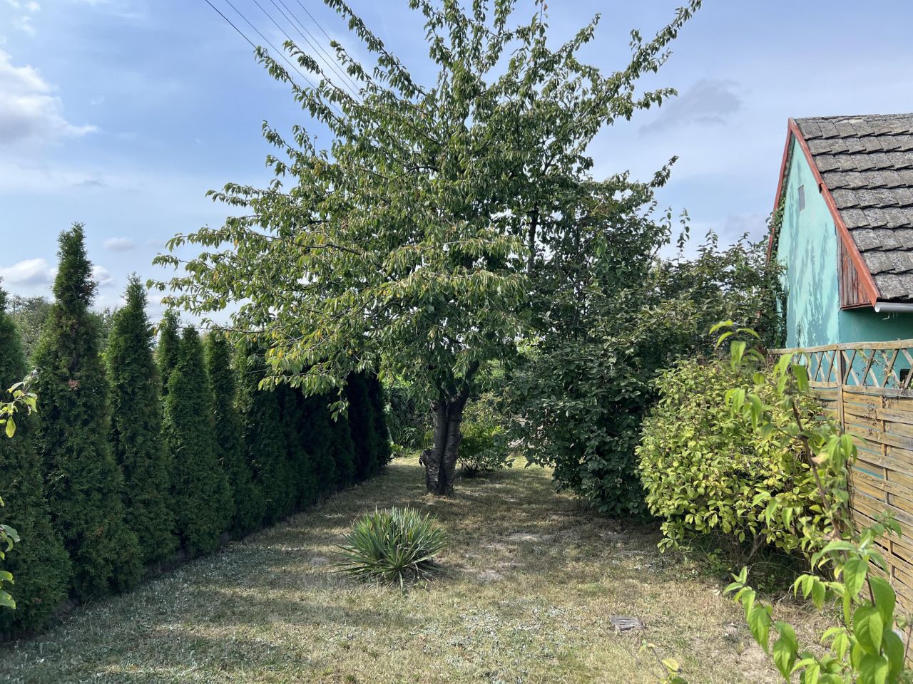 Działka rod Oława Nowy Otok, ul. Wiejska. Zdjęcie 4