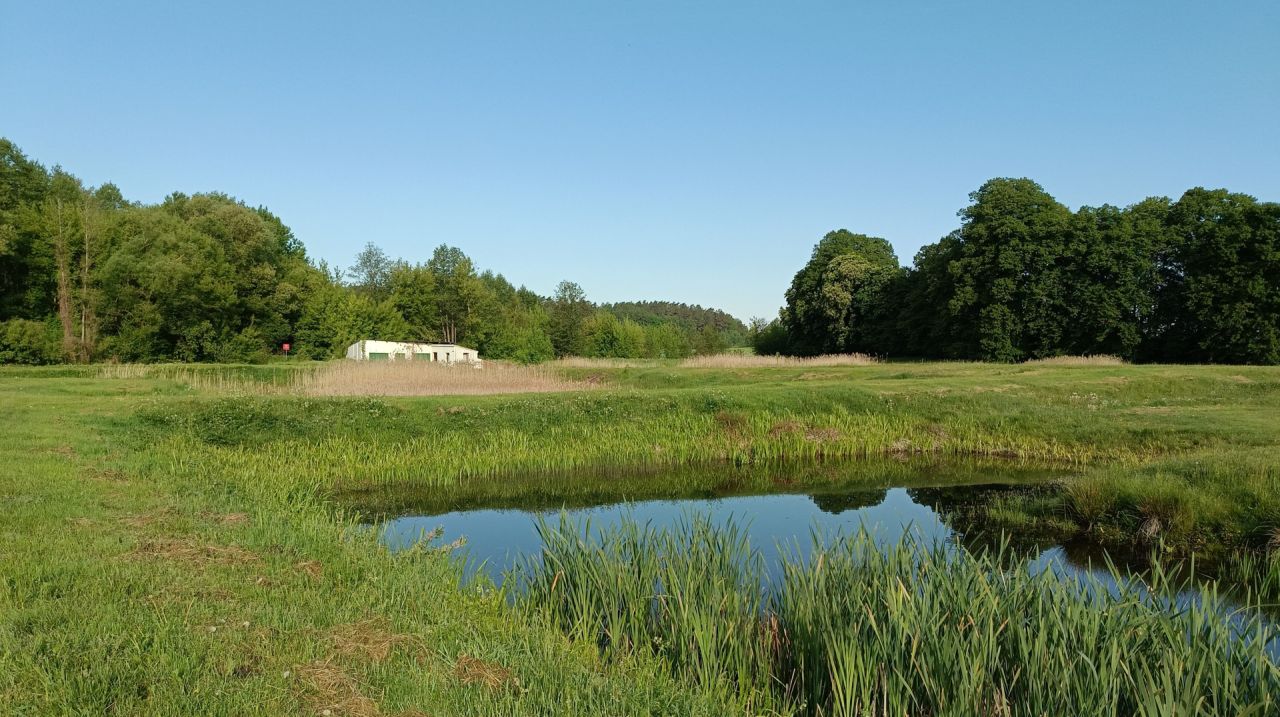 Działka rolno-budowlana Solistówka. Zdjęcie 5