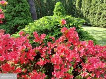 Działka rod Krępa, ul. Długa. Zdjęcie 4