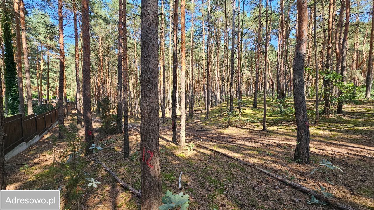 Działka budowlana Hornówek, ul. Jeżynowa. Zdjęcie 15