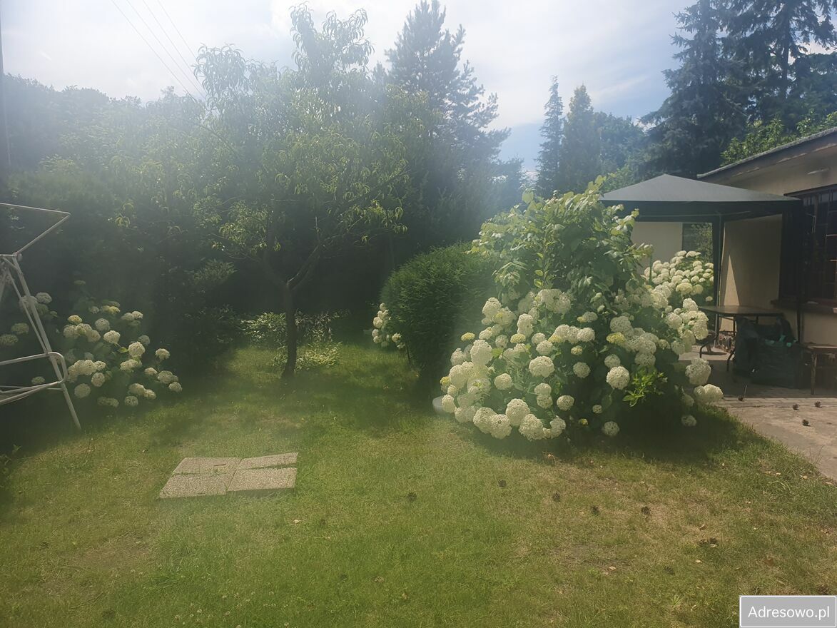 Działka rod Poznań, ul. Pusta. Zdjęcie 4