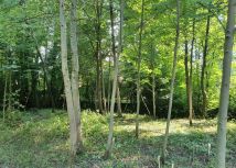 Działka budowlana Bielsko-Biała, Wawelska/Deszczowa. Zdjęcie 4