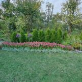 Działka rod Wrocław Krzyki, ul. Powstańców Śląskich. Zdjęcie 1