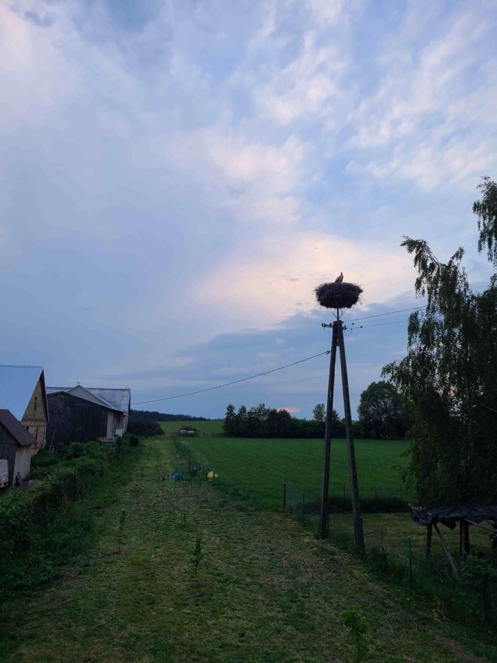siedlisko, 2 pokoje Surały. Zdjęcie 6