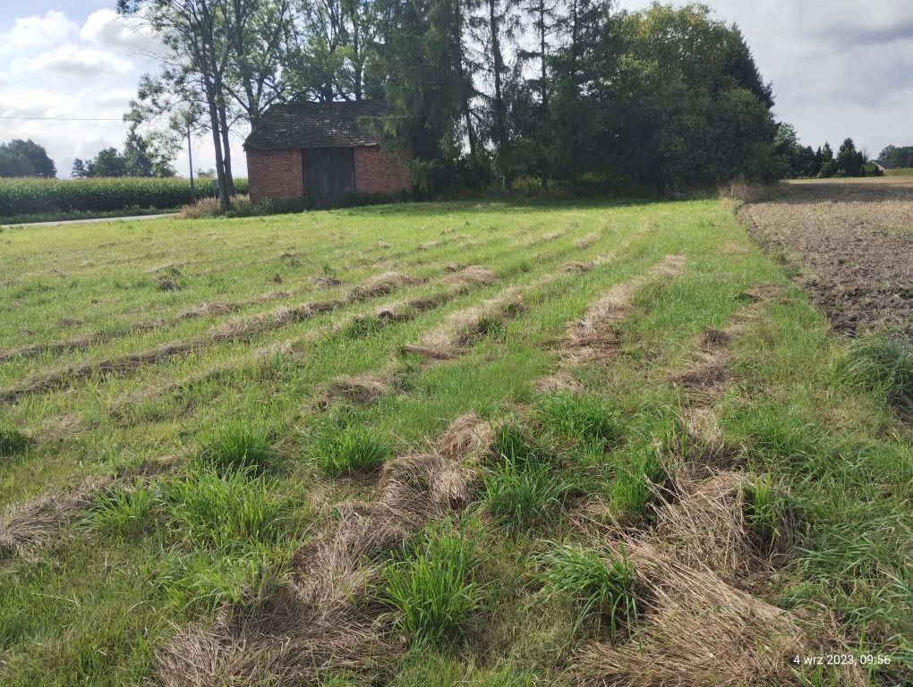 Działka budowlana Kryry, ul. Skotnicza. Zdjęcie 3