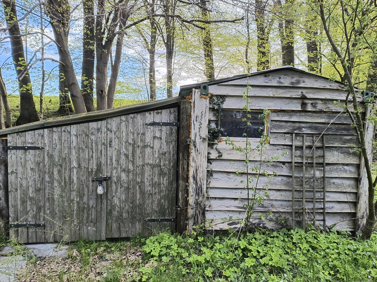 Działka rekreacyjna Sławutowo, ul. Szkolna. Zdjęcie 3