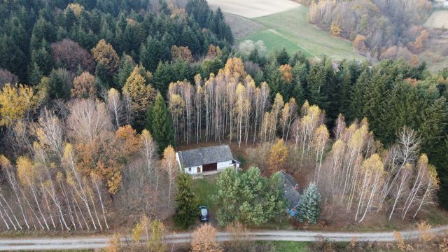 gospodarstwo Skołyszyn. Zdjęcie 1