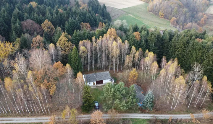 gospodarstwo Skołyszyn