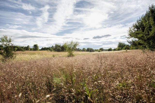 Działka budowlana Sarbsk. Zdjęcie 4