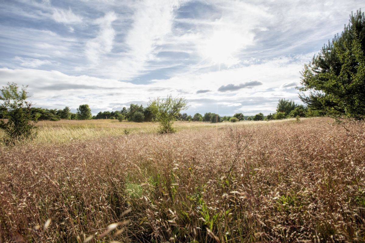 Działka budowlana Sarbsk. Zdjęcie 4