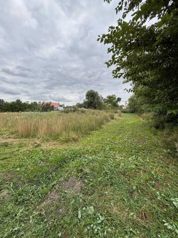 Działka budowlana Cienin Kościelny. Zdjęcie 1