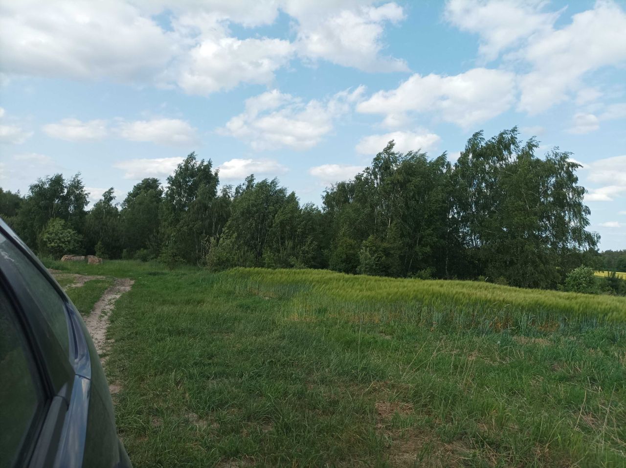 Działka budowlana Miętkie. Zdjęcie 7