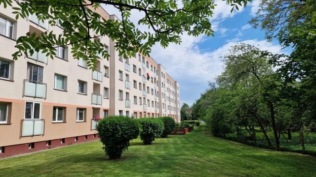 Mieszkanie 2-pokojowe Białystok Wygoda, ul. Romualda Traugutta. Zdjęcie 1