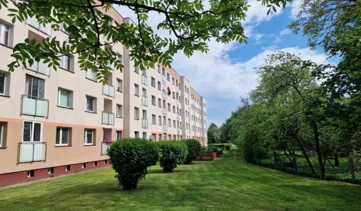 Mieszkanie 2-pokojowe Białystok Wygoda, ul. Romualda Traugutta