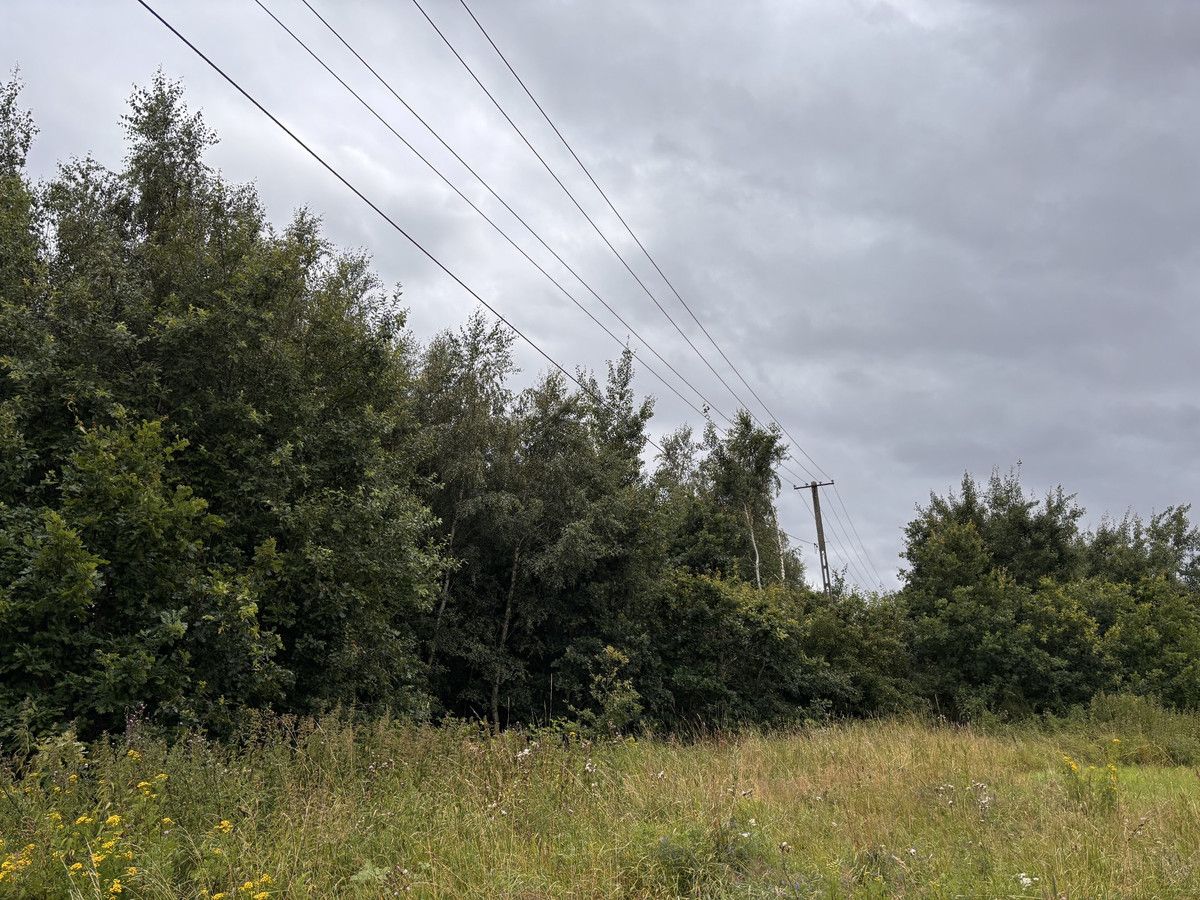 siedlisko, 11 pokoi Słowienkowo. Zdjęcie 13
