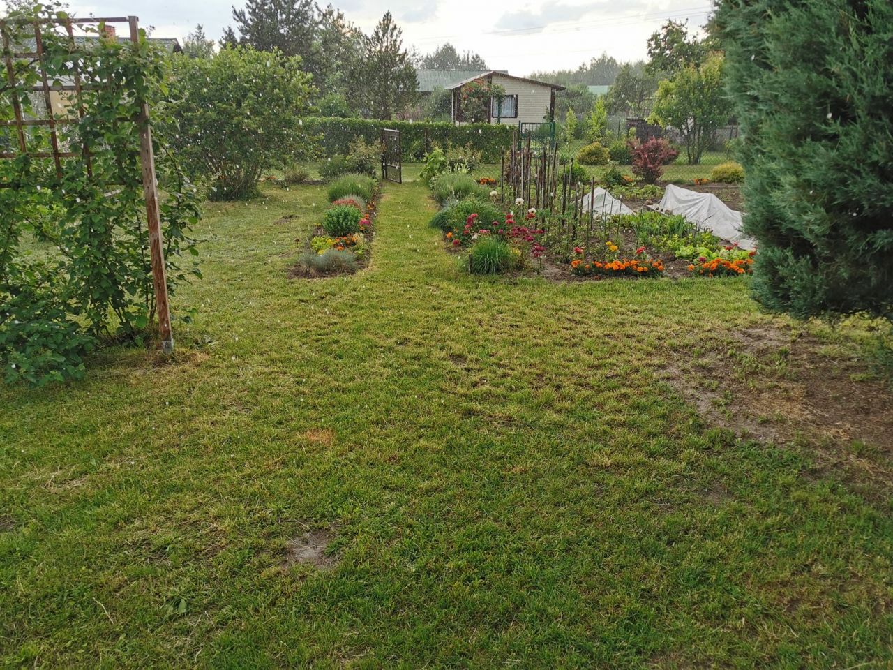 Działka rekreacyjna Biała Podlaska, ul. Akademicka
