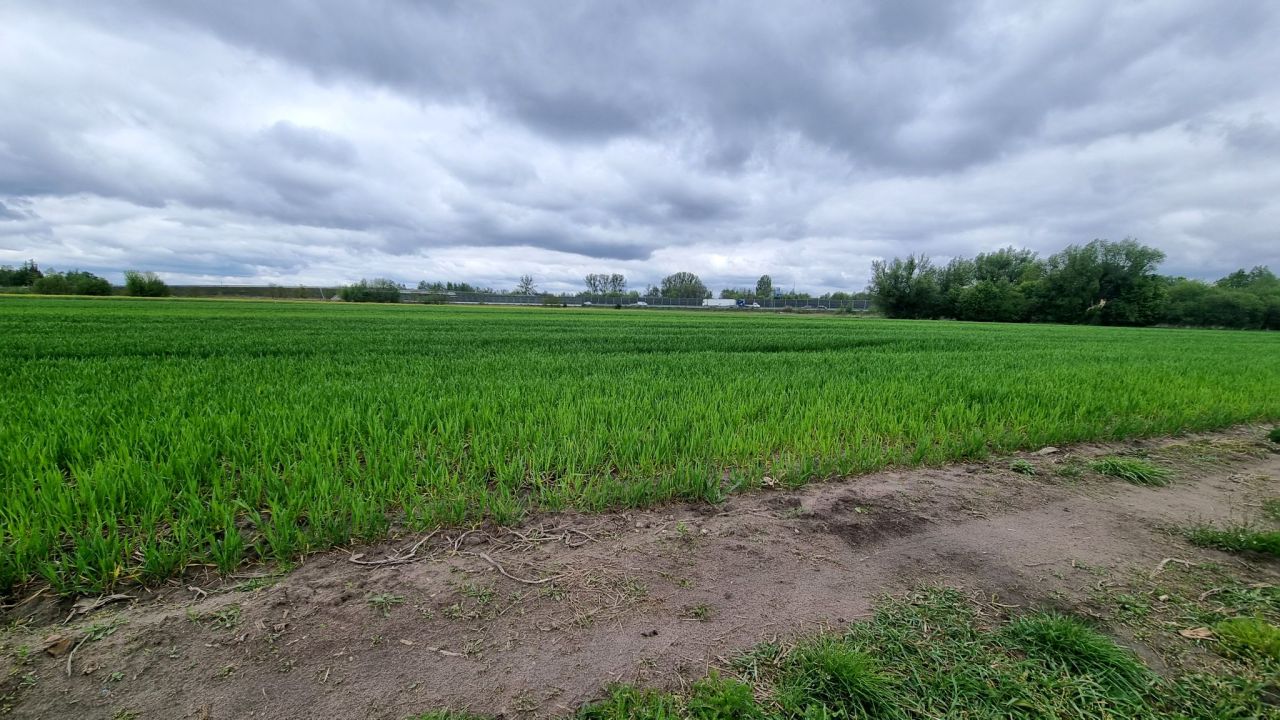 Działka rolna Żuków. Zdjęcie 13