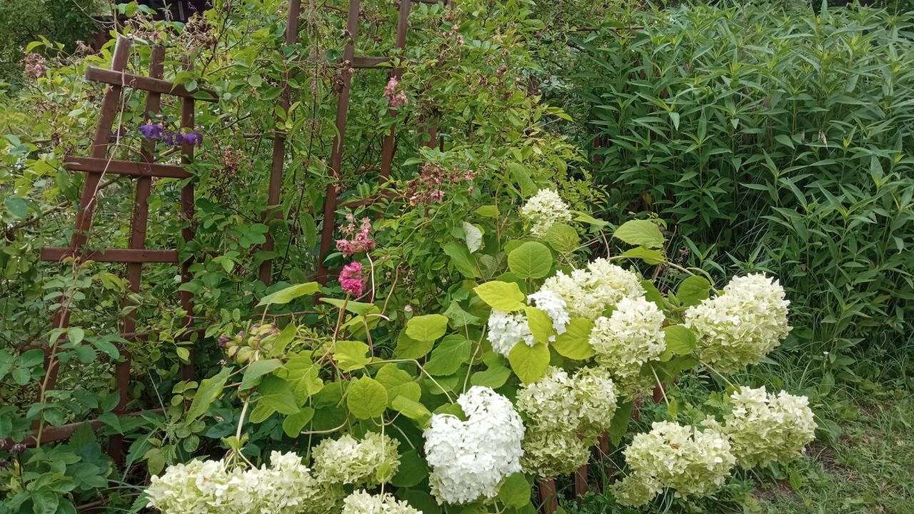 Działka rod Piła Koszyce, ul. Koszalińska. Zdjęcie 3